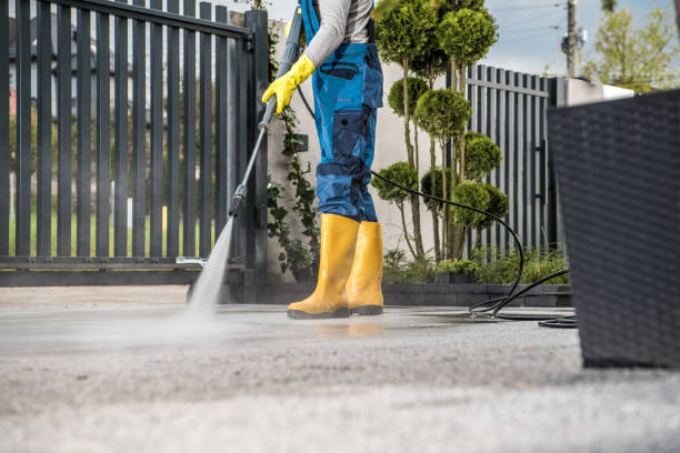 Best Building Exterior Pressure Washing in Freemansburg, PA